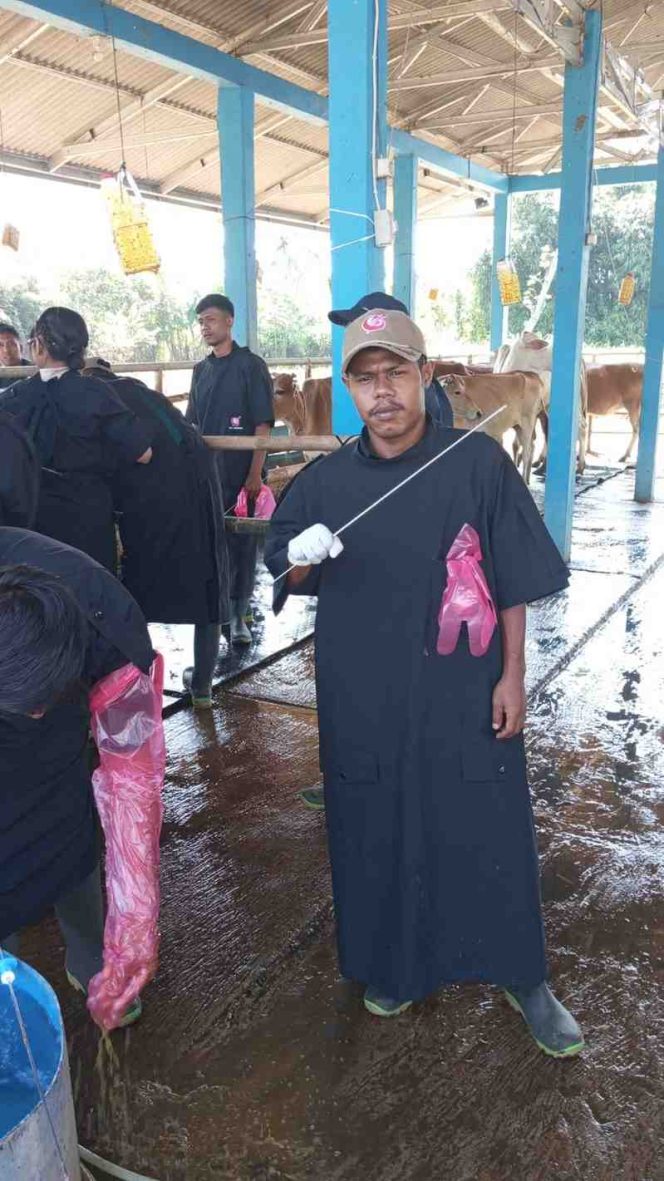 
					MATAHARI FLORES DI LANGIT LEMBANG: CATATAN PERJALANAN MENUJU KEDAULATAN PANGAN